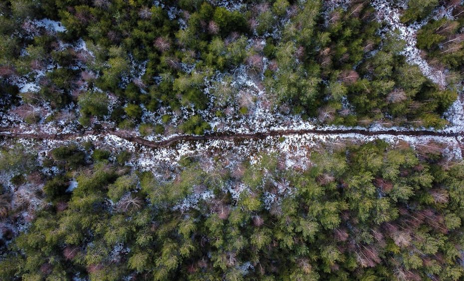 Ilustrasi survey lidar untuk lahan sawit